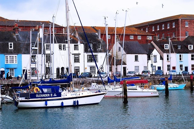 DockMaster Web: Why Cloud Access Is Not Optional For Marinas