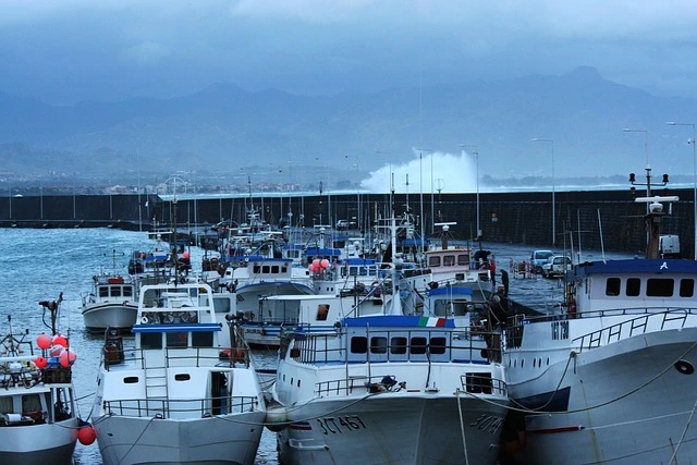 Designing A Marina: Must-Have Software Tools For Smarter Operations