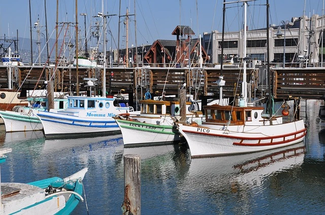 Investing In Marinas: Profit Potential And Key Considerations 