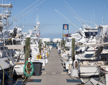 How Tracking More Than Just Basic Metrics Can Help Improve Your Marina’s Bottom Line
